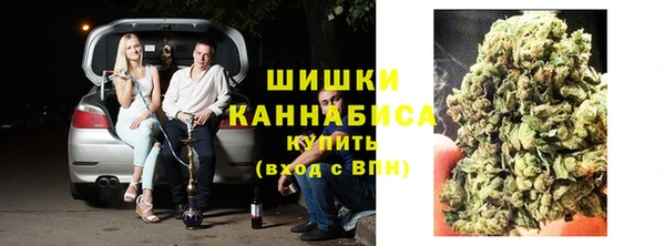 СК Зерноград