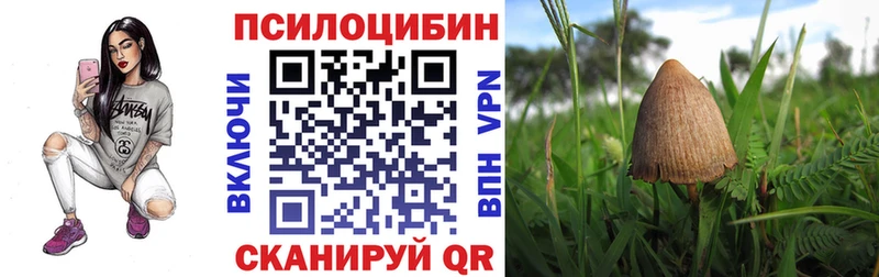 Псилоцибиновые грибы мицелий  Миньяр 